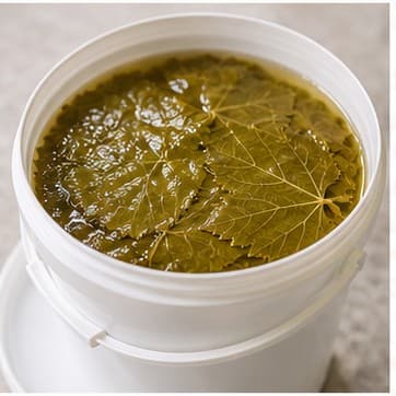 Open bucket of vine leaves in brine